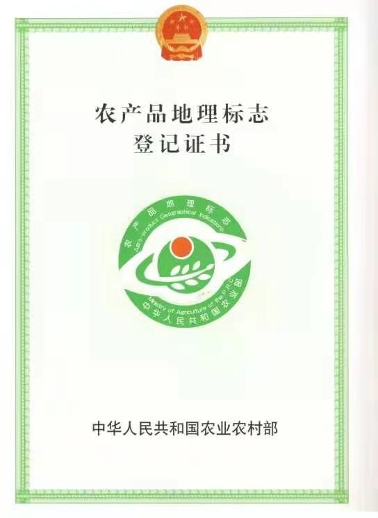 荣誉资质