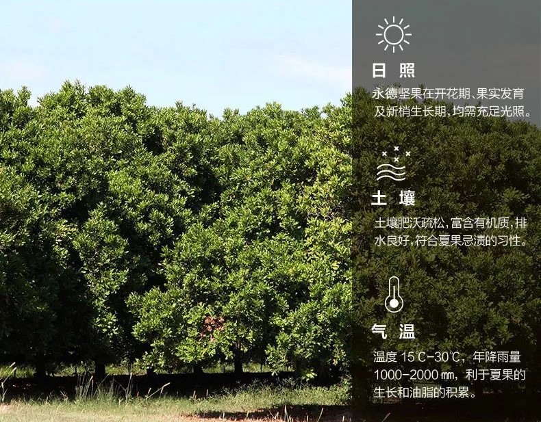 基地1